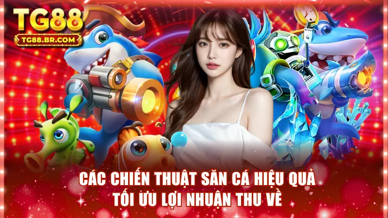 Các chiến thuật săn cá hiệu quả tối ưu lợi nhuận thu về