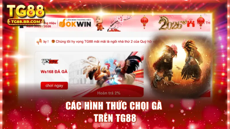 Các hình thức chọi gà trên TG88
