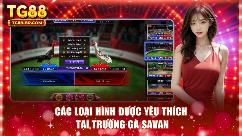 Các loại hình được yêu thích tại trường gà Savan