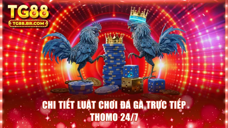Chi tiết luật chơi đá gà trực tiếp thomo 24/7