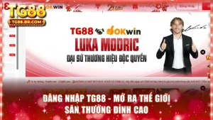 Đăng nhập TG88