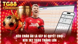 Kèo châu Âu là gì