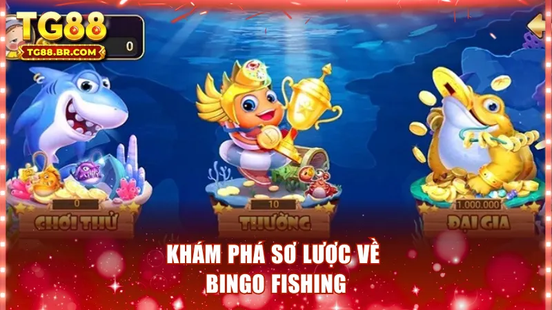 Khám phá sơ lược về Bingo Fishing