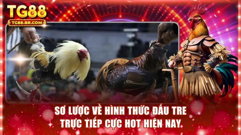 Sơ lược về hình thức đấu tre trực tiếp cực hot hiện nay
