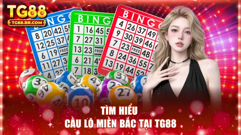 Tìm hiểu về cầu lô miền bắc tại TG88