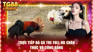Trực tiếp đá gà tre