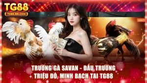 trường gà Savan