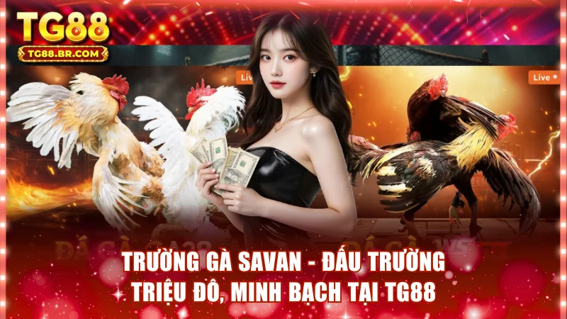 trường gà Savan